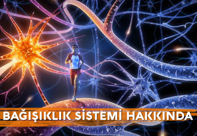 Güçlü Bir Bağışıklık Sistemi için 9 Öneri